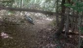 Trail Mountain bike Saint-Cergues - essai St cergues 22-07 - Photo 3