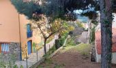 Trail Walking Argelès-sur-Mer - racou - collioure - racou / en boucle - Photo 14