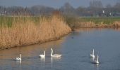 Trail On foot Rhenen - Grift en Graftenpad - Photo 5