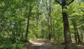 Randonnée Marche Jemeppe-sur-Sambre - Bois des masures, longée de la Petite-Sambre - Photo 7