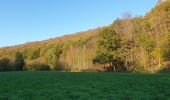 Trail Walking Ham-sur-Heure-Nalinnes - Du Pré al Roch au hameau l'Amérique - Photo 6