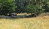 Randonnée Marche Fleury-Mérogis - Fleury-Méfrogis - Forêt Régionale de Saint-Eutrope - Photo 11