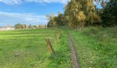 Tour Wandern Asse - Asse 25 km - Photo 16