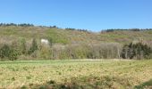 Tocht Stappen Viroinval - Marche Adeps à Dourbes - Photo 1