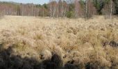 Tocht Stappen Peyrelevade - Fred moulins et cabanes de Chamboux  - Photo 3