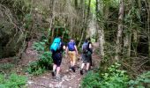 Tour Wandern Omblèze - Canyon du Gueulards- Ombleze - Photo 2