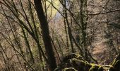 Tocht Stappen Seraing - De Boncelles à Roche aux faucons  - Photo 7