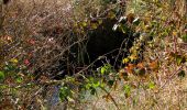 Randonnée Marche Pierrefonds - en forêt de Compiègne_24_Tournantes sur le Voliard et sur la Fortelle_chaussée Brunehaut - Photo 12