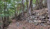 Trail Walking Ax-les-Thermes - balade bleue au dessus d'Ax - Photo 2