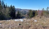 Trail Walking Les Rousses - Fort des Rousses  - Photo 5