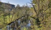 Randonnée Marche Hotton - Promenade de la pierre d'Hotton  - Photo 2