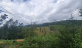 Trail Walking Houffalize - rando wibrin 29/07/2021 - Photo 4