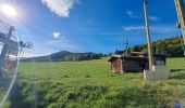 Tour Wandern Talloires-Montmin - Chalet de l'Aups depuis la Côte par Col de la Forclaz - Photo 9