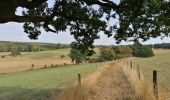 Excursión Senderismo Léglise - Bois d'Ospau et balade du Polissoir - Photo 5