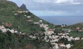 Trail Walking Santa Cruz de Tenerife - 20230128 boucle Tâcheron - Amalciga  - Photo 13