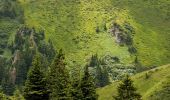 Excursión A pie Săcele - Podul Teslei - Șaua Tigăilor - Cabana Vf. Ciucaș - Photo 6