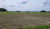 Trail Walking Fosses-la-Ville - Vitrival 030625 - Photo 11