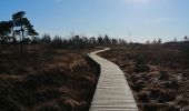 Trail Walking Spa - Arboretum et boucle dans Berinzenne - Photo 9