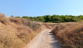 Trail Walking Leucate - mon sentier des pêcheurs via chateau - Photo 11