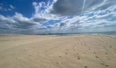 Tocht Lopen Fouesnant - Des dunes à la mer blanche - Photo 6