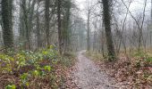 Trail Walking Soignies - Thieusie 19,7 km - Photo 6