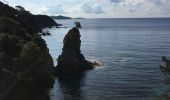 Tocht Stappen Hyères - Sentier du littoral de Giens - Photo 9