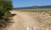 Trail Horseback riding Revest-du-Bion - Provence 2025 J5 - Photo 10