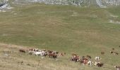 Tocht Stappen École - BAUGES: COL D'ARCLUSAZ - Photo 7