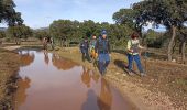 Percorso Marcia Ceyras - Aventure dans le canyon du diable - Photo 1