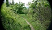 Excursión Senderismo Puy-Saint-Martin - La Montagne de Ste-Euphémie - Puy-St-Martin - Manas - Photo 14