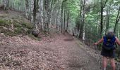 Trail Walking Saint-Chély-d'Aubrac - live Saint Chély - Saint Côme - Photo 3