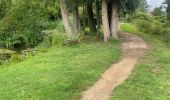 Trail Walking Bassenge - Fort Eben-emael 11 Km  - Photo 2
