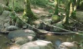 Tour Wandern Burlats - Chaos de la Rouquette - Photo 2