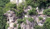 Tocht Te voet Sankt Nikola an der Donau - Burg Werfenstein Wanderweg - Photo 8