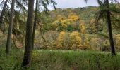 Tour Wandern Dinant - Parc naturel Furfooz - Photo 9