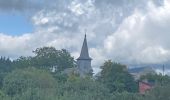 Tour Wandern Hotton - Werpin pvl - Photo 1