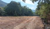 Trail Walking Laroque-des-Albères - laroque . pla d'en guinot . laroque - Photo 15