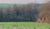 Tocht Lopen Ligny-le-Châtel - Circuit autour de Ligny le chatel - Photo 2