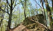 Excursión A pie Pegnitz - Rundweg Hollenberg 4 grün - Photo 4