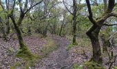 Trail Walking Chaudfontaine - autour du bois les dames  - Photo 15