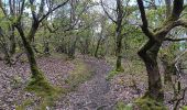 Tocht Stappen Chaudfontaine - autour du bois les dames  - Photo 15