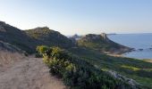 Trail Walking Ajaccio - Les iles Sanguinaires. Corse - Photo 7