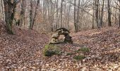 Randonnée Marche Cazenave-Serres-et-Allens - cabane du ¨Pla de Tabe version longue - Photo 3