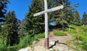 Trail Walking Villard-sur-Doron - Hameau du Beaufortain - La Croix de Coste - Photo 4