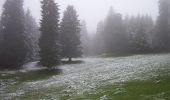 Tocht Te voet Val-de-Ruz - Vue des Alpes - La Pouette Mange - Photo 2