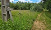 Tour Wandern Nouzilly - Nouzilly - Circuit des Orchidées  - Photo 13