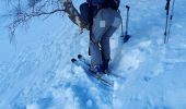 Trail Touring skiing Besse - Col Nazié depuis Besse-en-Oisans - Photo 17