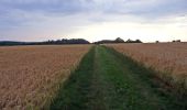 Tour Zu Fuß Unbekannt - Jägerweg Route - Photo 3