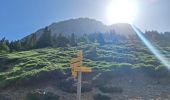 Randonnée Marche Plateau-des-Petites-Roches - Dent de Crolles  - Photo 8