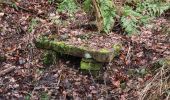 Tour Zu Fuß Messel - Rundwanderweg Messel 4: Mörsbacher Grund-Runde - Photo 2